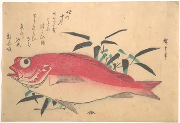 Peixe Medetai e bambu Sasaki, da série Uozukushi (Todas as variedades de peixe)