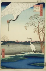 Minowa, Kanasugi, Mikawashima, da série “Ridge dre d fa net s view ws of Edo (One Hundred Famous Views of Edo)”