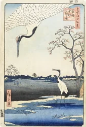 Minowa, Kanasugi e a ilha de Mikawa