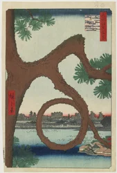 Pinho da Lua, Templo de Ueno, agosto de 1857