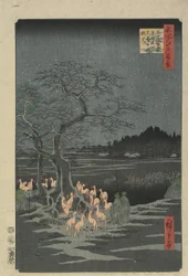 Véspera de Ano Novo Foxfires na Hackberry Tree em O_ji, 1857