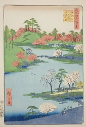 Abertura do jardim do santuário Fukagawa Hachiman (Fukagawa Hachiman yamabiraki), n.o 68 da série "Cem vistas famosas de Edo (Meisho Edo hyakkei)"