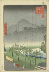 Plantação de Paulownia em Akasaka na chuva da noite