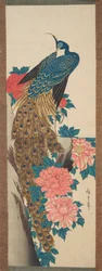 Pavão e flores de peónia