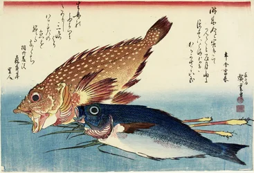 Peixe-escorpião, frango grunhido e brotos de gengibre, c. 1832