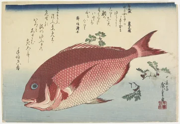 Sargo e Sansho_Sprigs, c. 1832