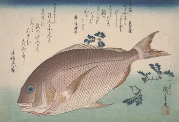 Dourada e pimenta sansho, c. 1830