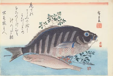 Shimadai e Ainame, da série &39;The Large Fish&39;, Escola Utagawa, c. 1840-42 (xilogravura colorida à mão sobre papel)