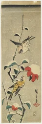 Pardais e camélia nevada, 1837-1848