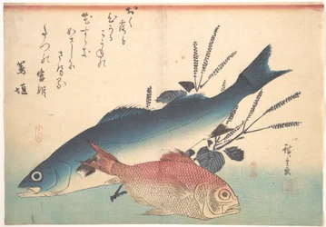 Peixes suzuki e kinmedai da série Uozukushi (Todas as variedades de peixe)