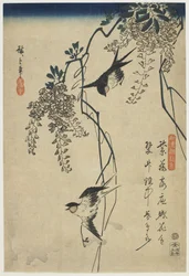 Andorinhas que voam através das videiras das glicínias, 1837-44 (impressão do woodblock da cor)