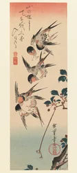 Tanzaku, quatro andorinhas, 1832 (impressão do woodblock da cor)