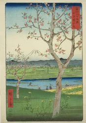 Os arredores de Koshigaya na província de Musashi (Musashi Koshigaya zai), da série "Trinta e seis vistas do Monte Fuji (Fuji sanjurokkei)"