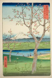 Os arredores de Koshigaya na província de Musashi (Musashi Koshigaya zai), da série "Trinta e seis vistas do Monte Fuji (Fuji sanjurokkei)"