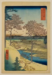 Yūhigaoka em Meguro na Capital Oriental, da série «Trinta e seis vistas do Monte Fuji»