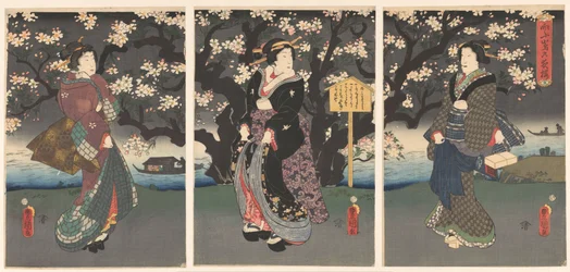 Passeio nocturno ao longo do rio