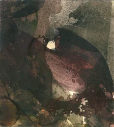 Abstrato Orgânico Sombrio