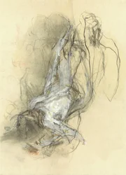 Forma abstrata fluida