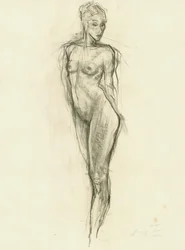 Figura nua graciosa