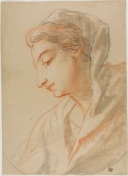 Perfil busto de mulher