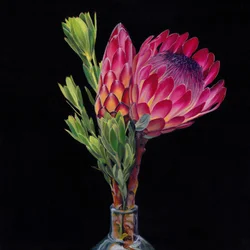 Vasos Pink Protea