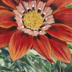 Flor laranja vibrante