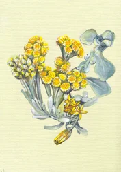Flores amarelas vibrantes