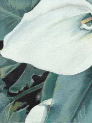 Flor de cala branca