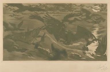 Aves de rapina, 1893.