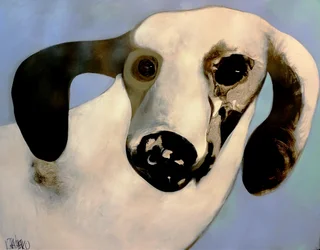 Retrato canino de sonho