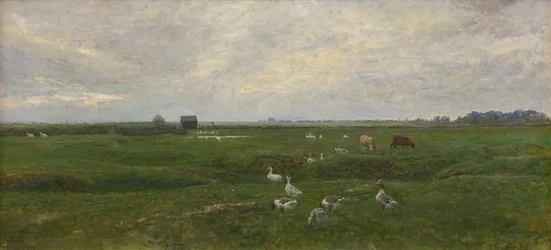 Gansos por um lago. Uma tempestade está se formando. Dragør, a Ilha de Amager