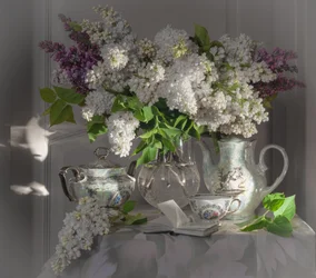 Lilases da Primavera e a hora do chá