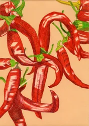 Pimentos vermelhos picantes