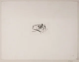 cabeça de cachorro