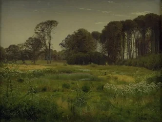 Paisagem de verão. Horneland perto de Fåborg