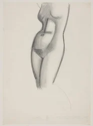 Modelo feminino, torso