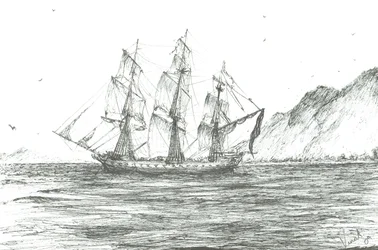 Exploradores por vela, 2009