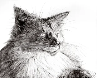 Monty menino acolhedor, 2015, (tinta no papel)
