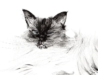 Olho sonolento, 2015, (tinta no papel)