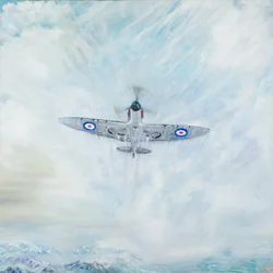 Spitfire Ace of Spades, 2016,