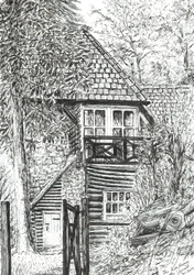 The Log House, 2019, (tinta no papel)