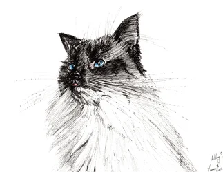 Por quê 2016, (tinta no papel)