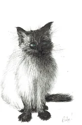Young Baby, 2004