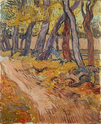 Caminho no jardim do asilo de Saint-Rémy, 1889.