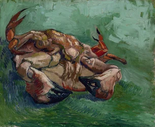 A Crab on its Back par Gogh, Vincent, van (1853-1890). Óleo sobre tela, tamanho : 38x46,8