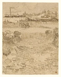 Arles: vista dos campos de trigo