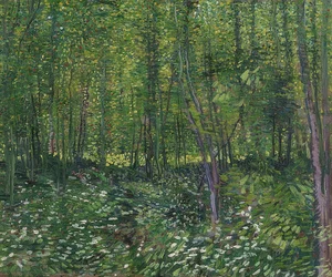 Árvores e vegetação rasteira. 1887