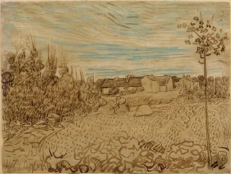 Quinta em um campo