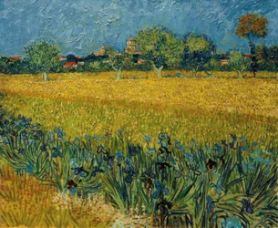 Vista de Arles com flores de íris em primeiro plano