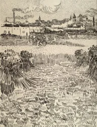 A colheita
